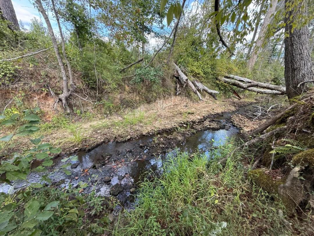 114 Acres in Attala County, MS