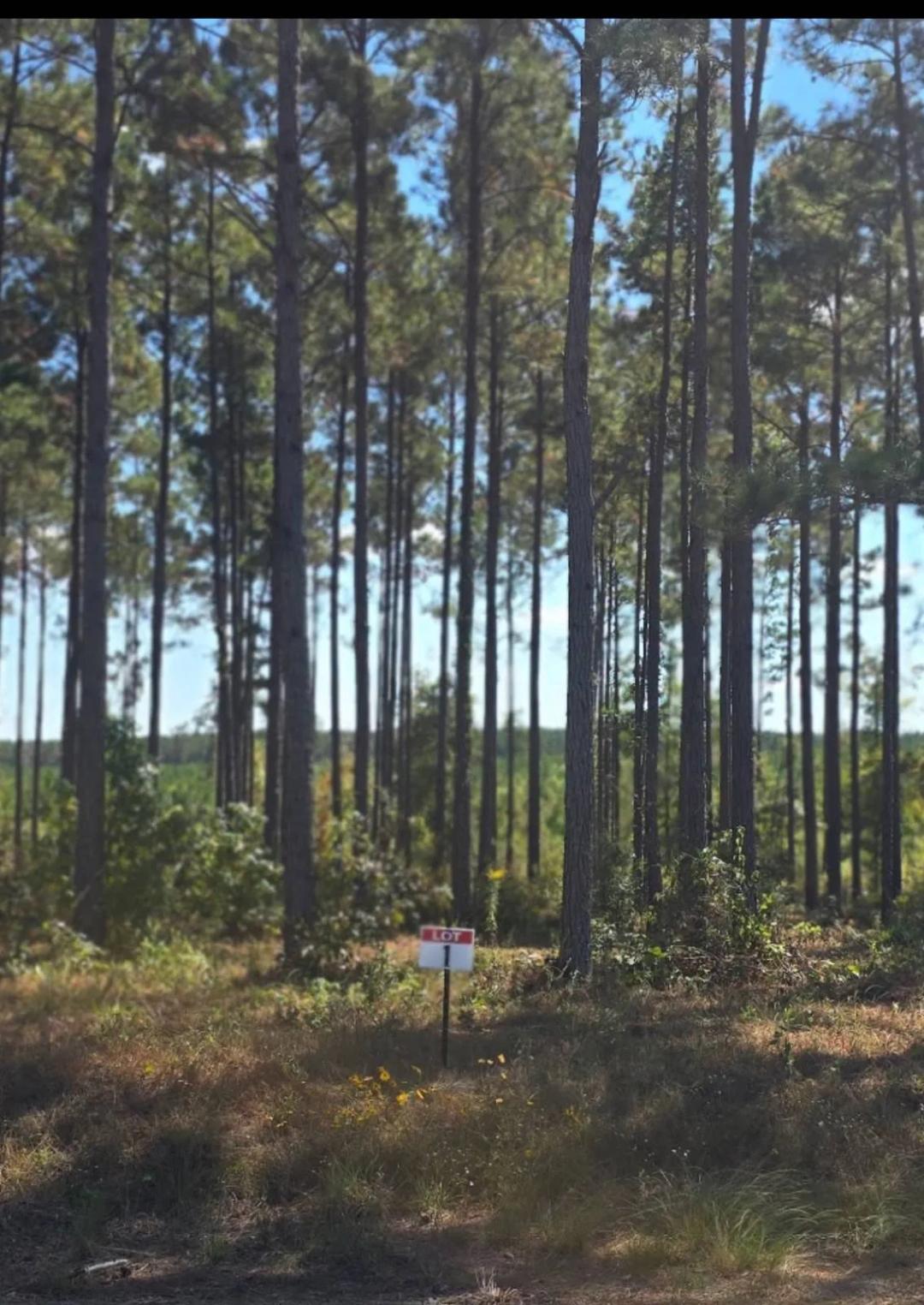 0.71 Acres at 001 Army Recreation Rd