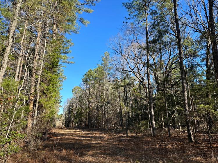 11.6 Acres in Choctaw County, MS