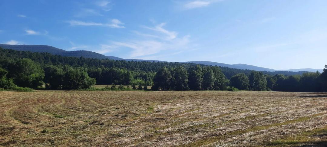116 Acres in Scott County, AR