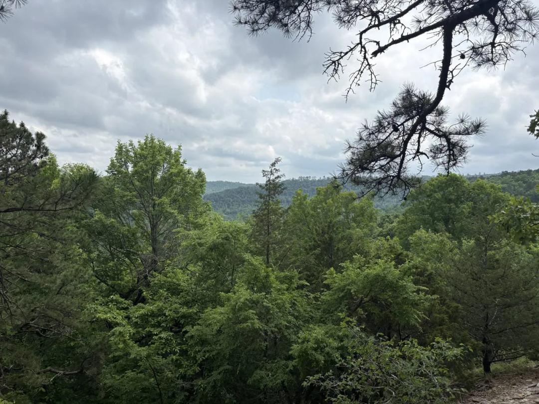 320 acres~Leslie,AR~Stone County~Riverfront~Timber investment~No legal access~