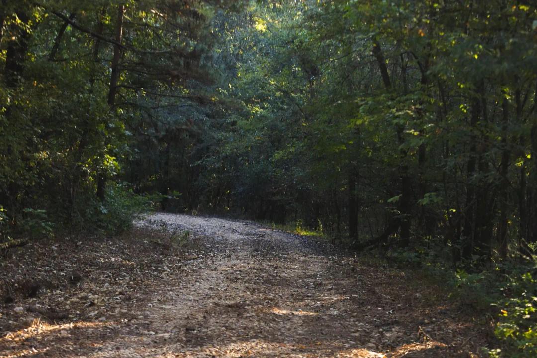 480 Acres in Hempstead County, AR