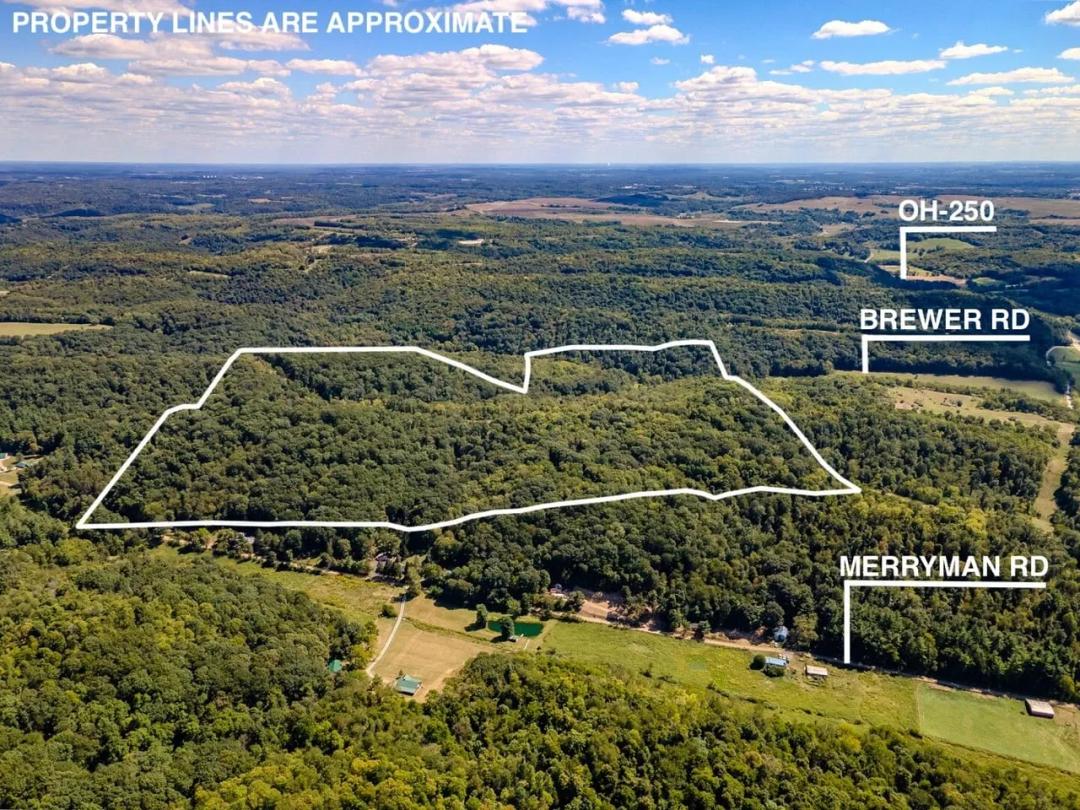 Brewer Rd - 120 acres