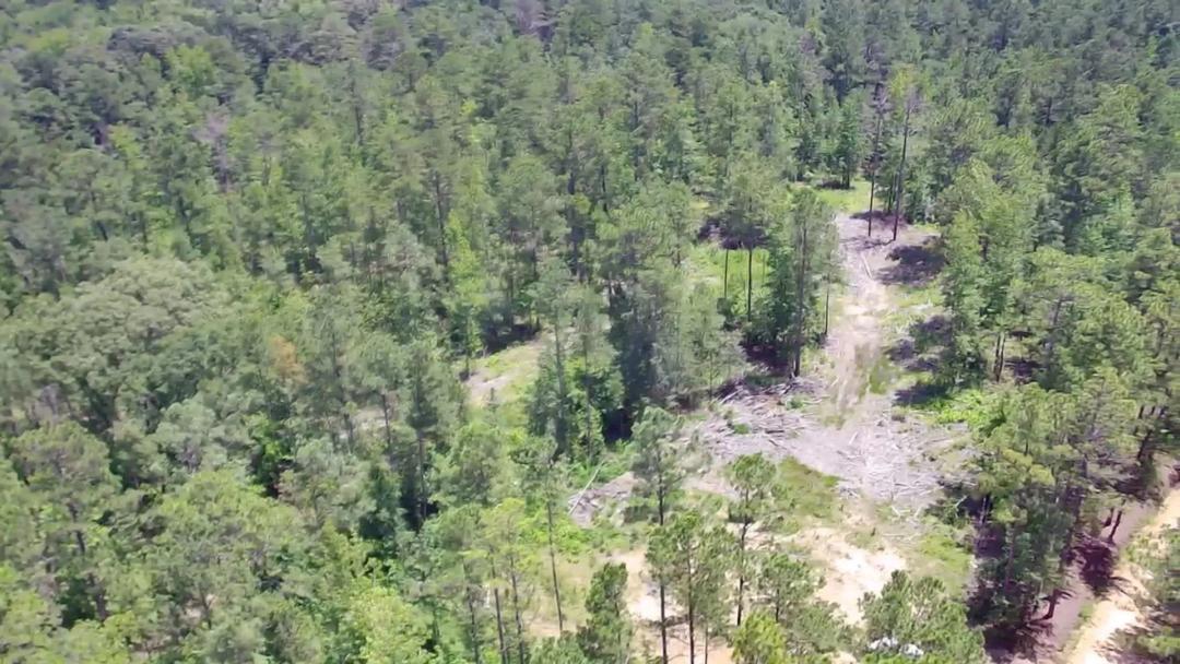 40 +/- Acres of Shelby County Land