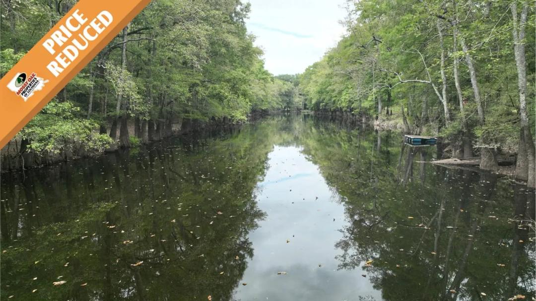 Bodcau Bayou Ducks and Bucks, Lafayette County, 352 Acres +/-