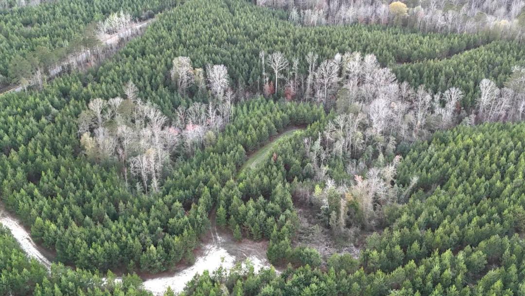Hunting/Recreational Property In Great Area for Deer/Turkey