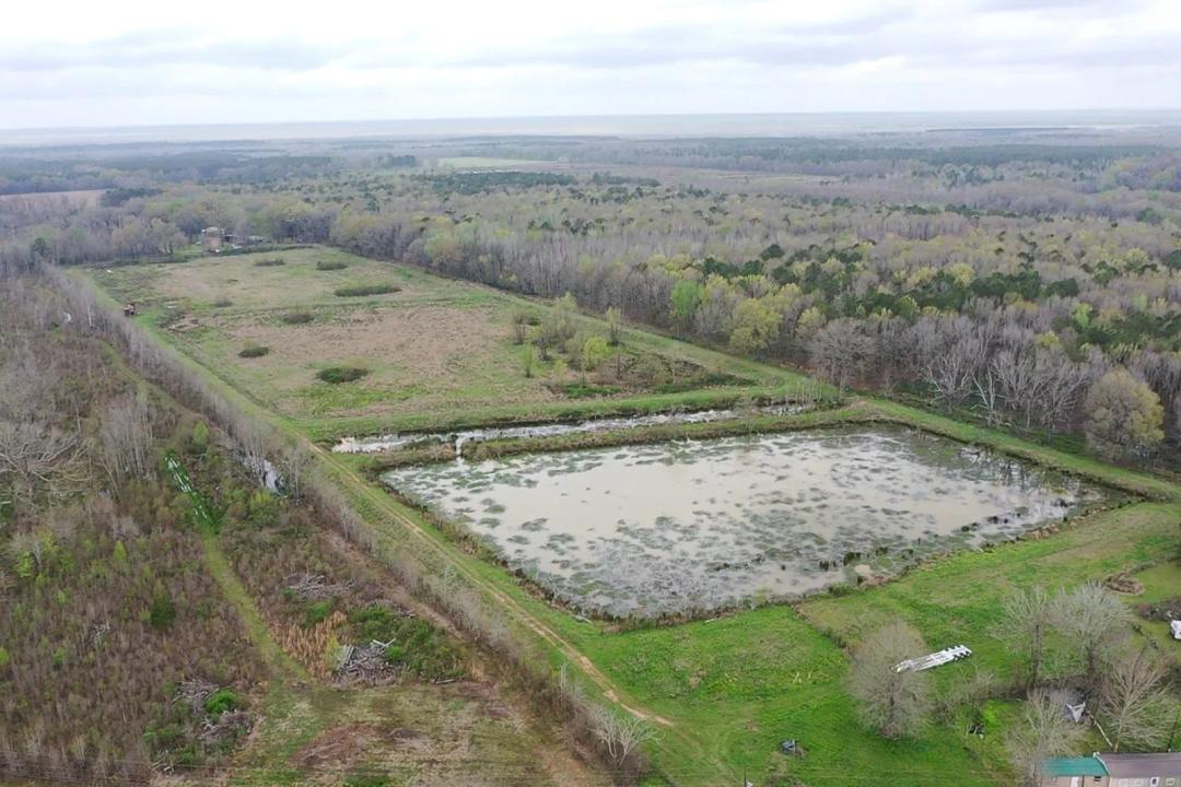 28+/- acre Hunting/Pasture tract