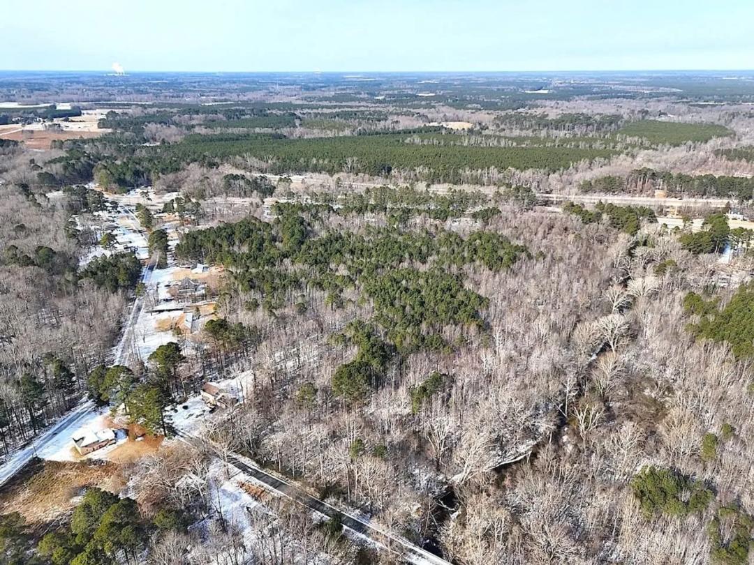 29.11 acres of Hunting and Residential Land for Sale in Greensville County VA!