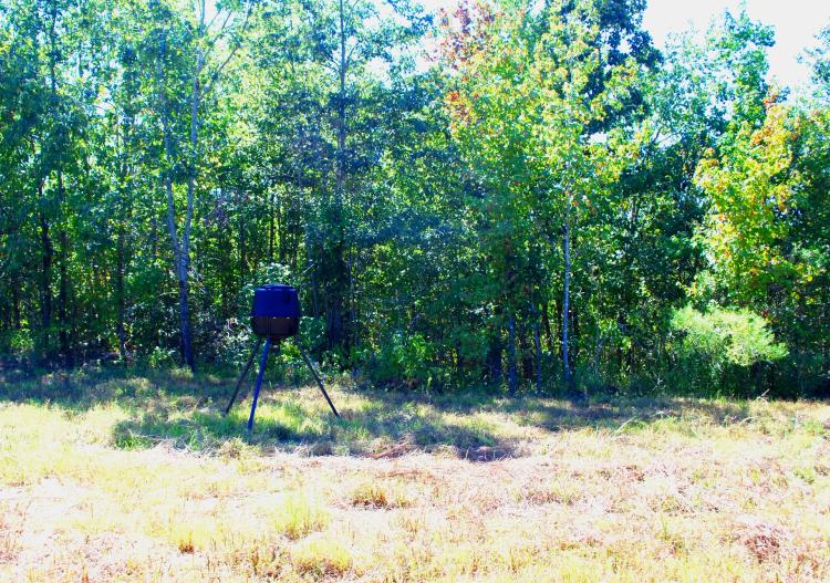 80 Acres in Webster County, MS