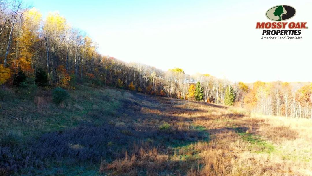Shaffer Rd, Ellwood City, PA, 16117