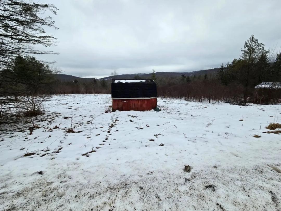 1 acre Building Lot in Cuba NY 8935 Stout Road