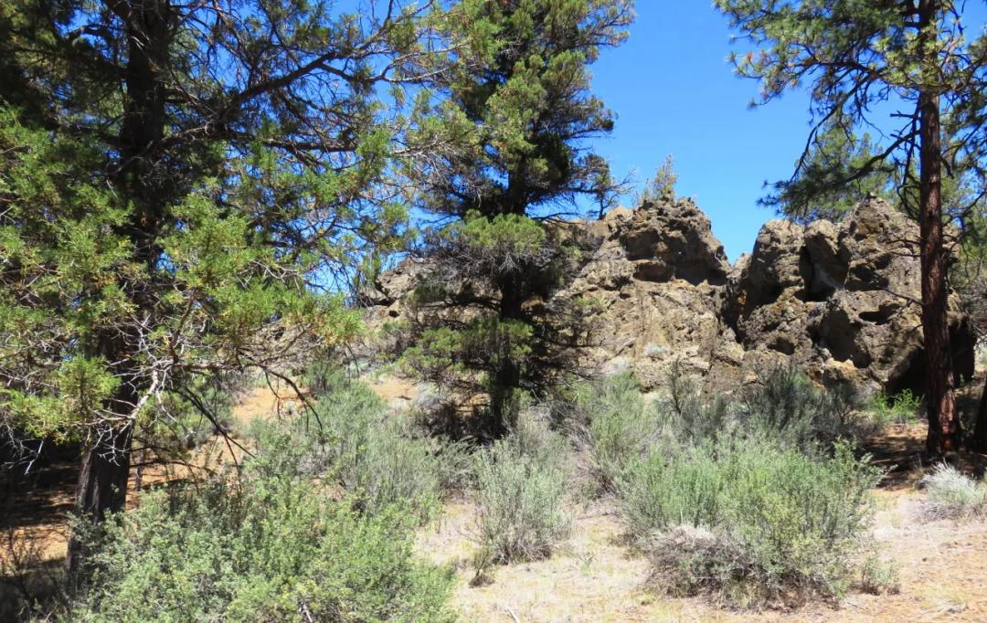Southerly facing with Unique Rock Formations and trees