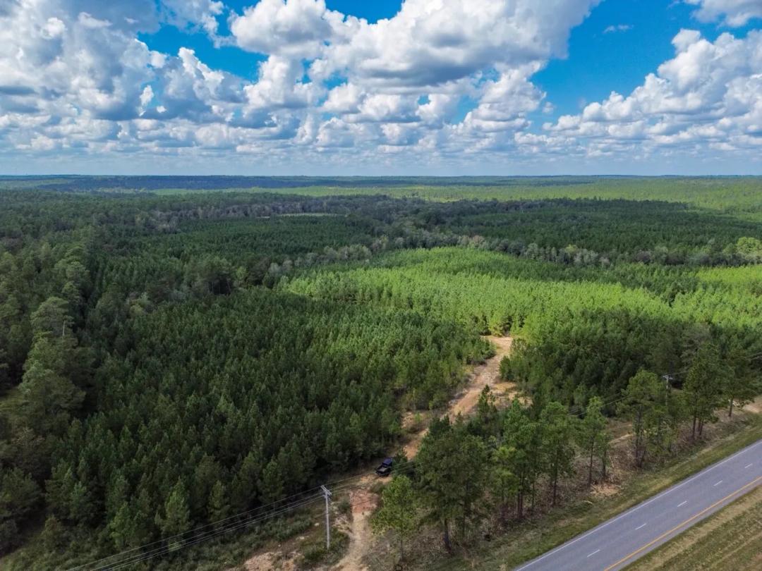 9.10 Acres at 39480 State Hwy 59