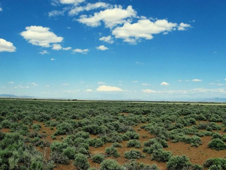 40 acres with good road access - Expansive high desert views
