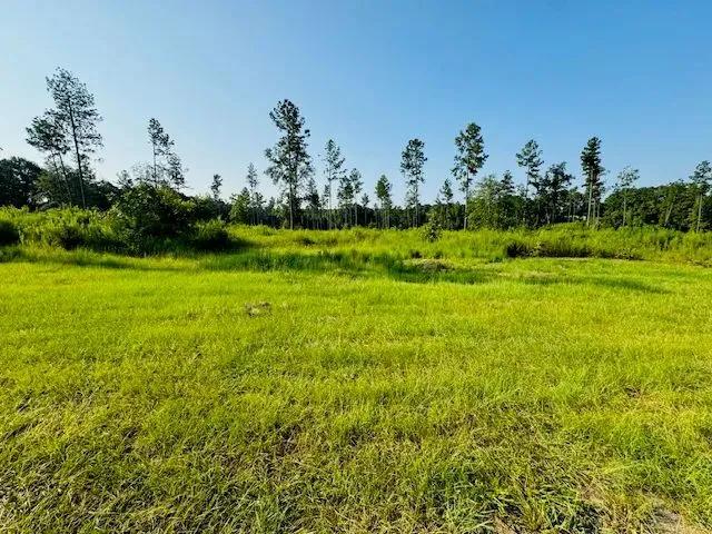 11 Acres on JS King Road | Warnerton, LA
