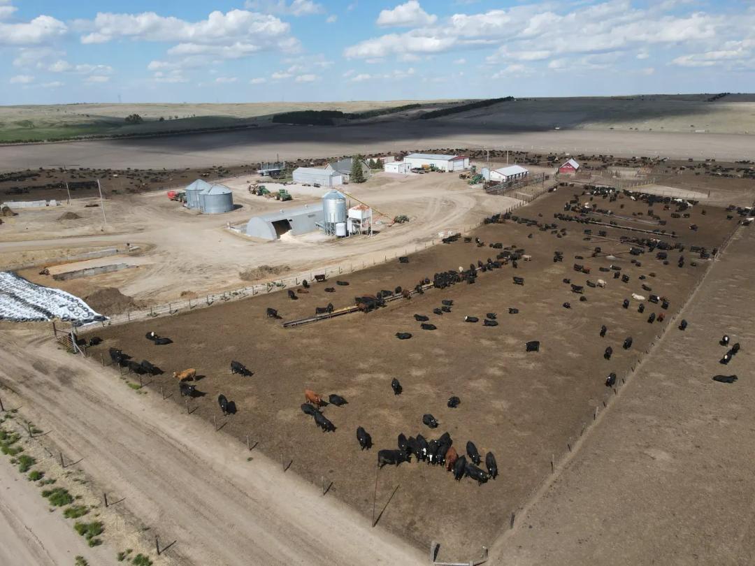 Buffalo County 522.9 Acre Feedlot, Farm & Pasture