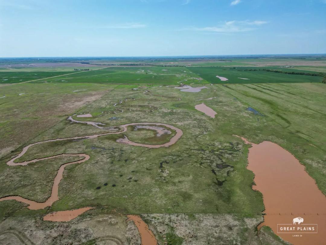 Waterfowl & Whitetail Hunting/Production Ag Farm