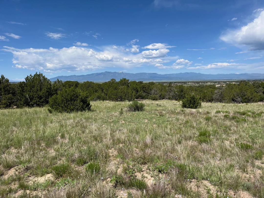 Hatchet Ranch 55