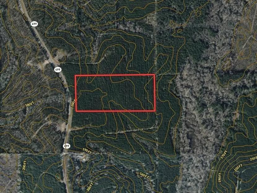 18 ACRES+/- WINN PARISH, LA