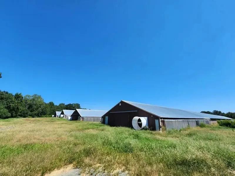 Ivy Broiler Farm – Four House Farm in Anson County, NC
