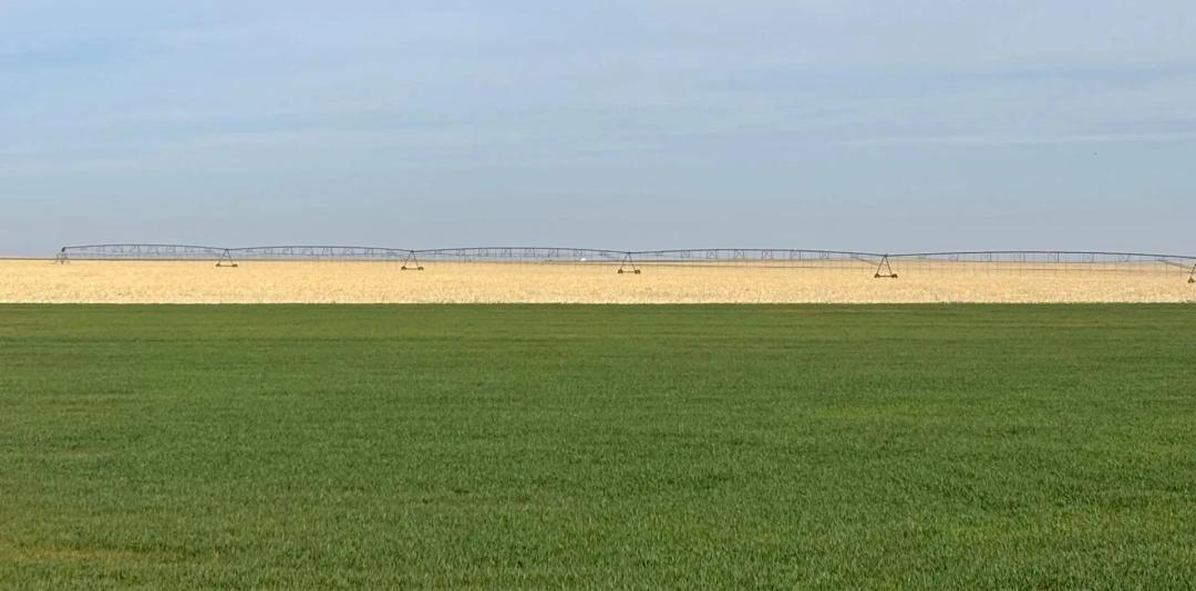 757 Acres Hoxie, KS