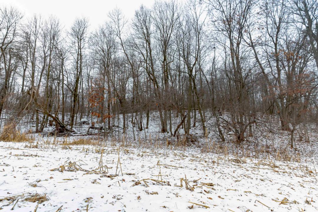 Welcome to a Prime 35-Acre Property in Columbia County