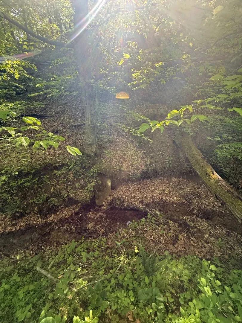 70 Acres in Elliott County, KY
