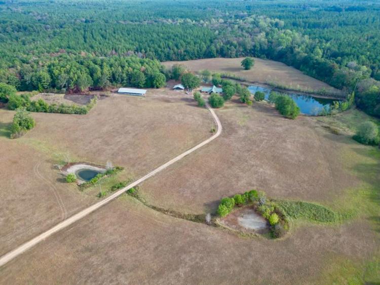 H & H Ranch, Amite County, MS - 54 Acres and Cabin for Sale