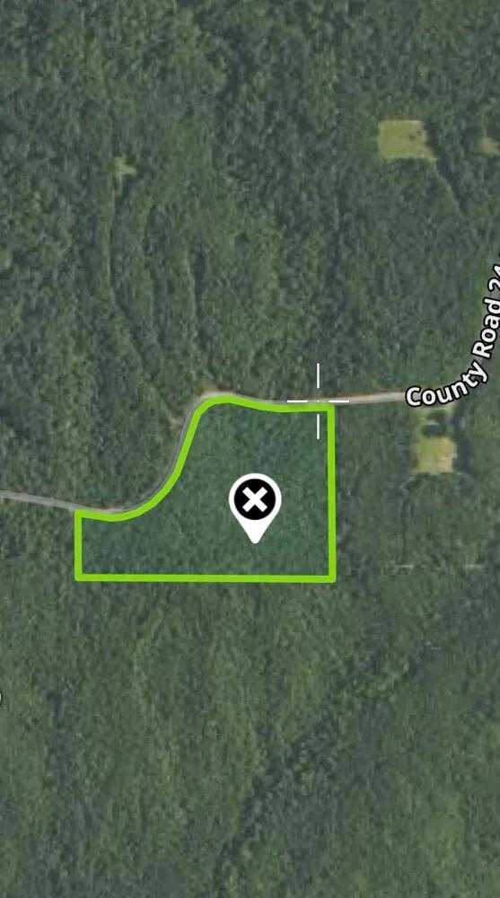 20.00 Acres at 0 County Road 244 Tract A