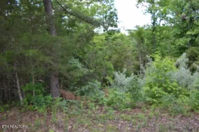 Property from 2.75ac Beauchamp Rd - KW