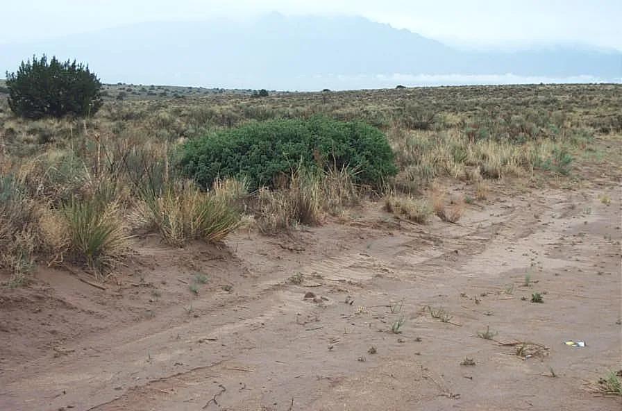 Rio Rancho New Mexico Large Lot top of Cul-de-sac - desert dry creek in back