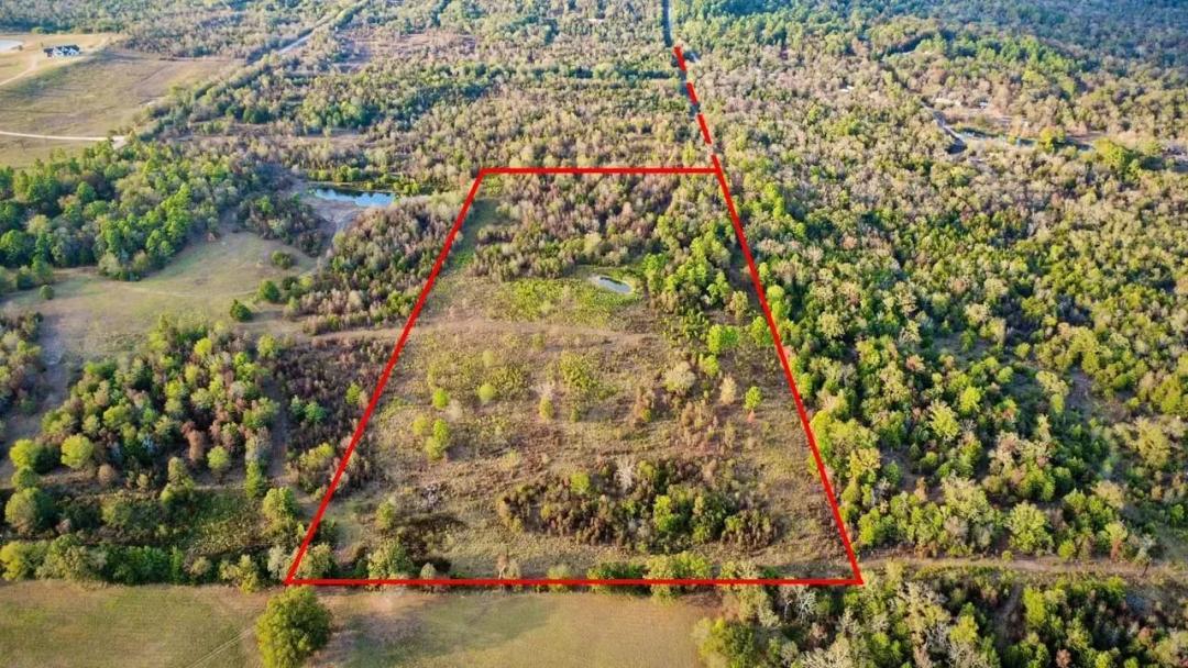 20 Acres with Pond | Country Living, Hunting & Recreation in Ringold