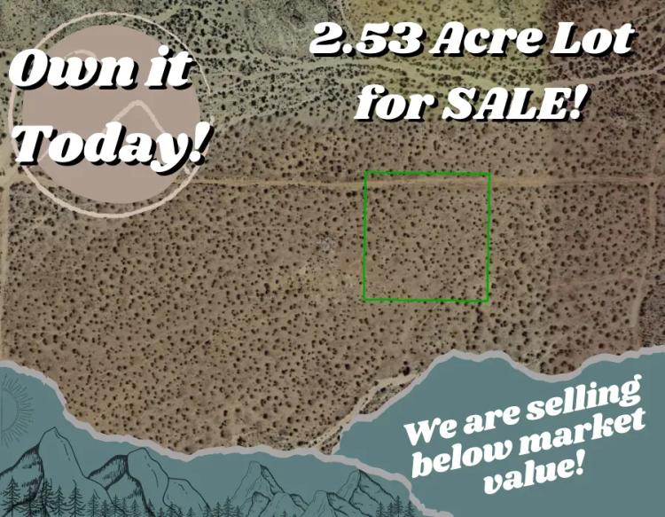 2.53 Acres Lot is Homestead Ready (CA21119)