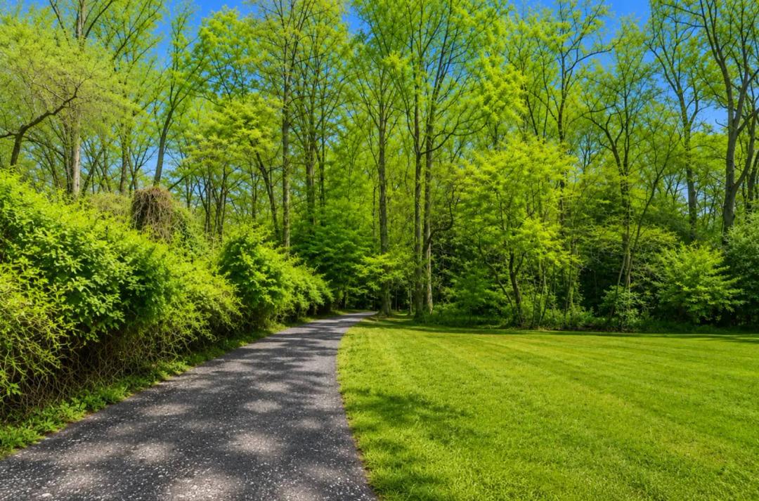 Shovel-Ready Building Lot in Fairfax County with Permits