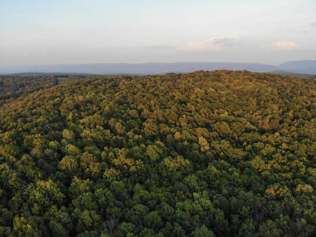 82± Acres At Ohiopyle - Buildable Mountain Ground, Big Views