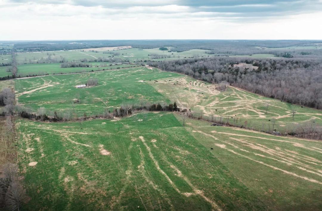 Premium Pasture Land