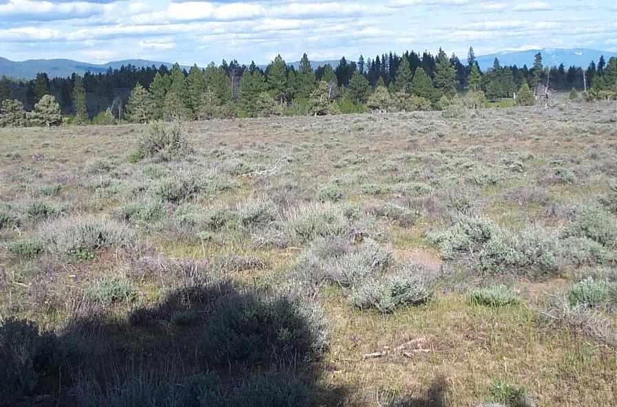 4.27 acres Remote Oregon land * Star filled night skies * Camp * RV * Build
