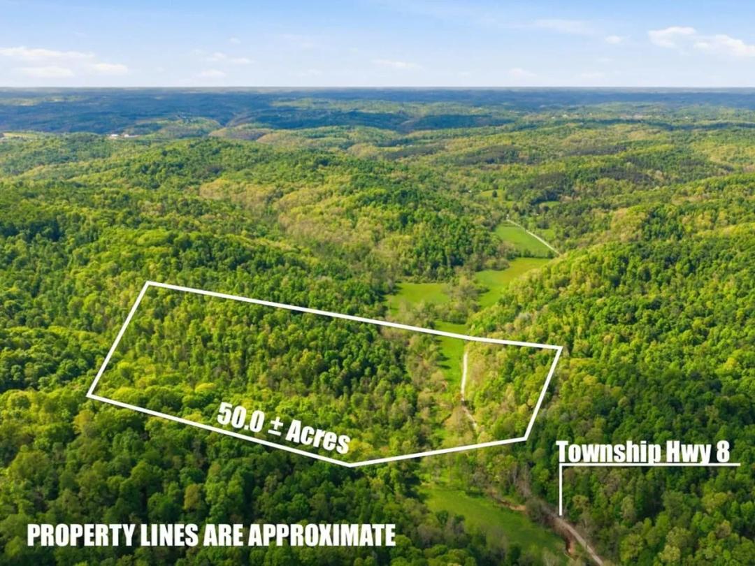 Pratts Run Rd - 50 acres