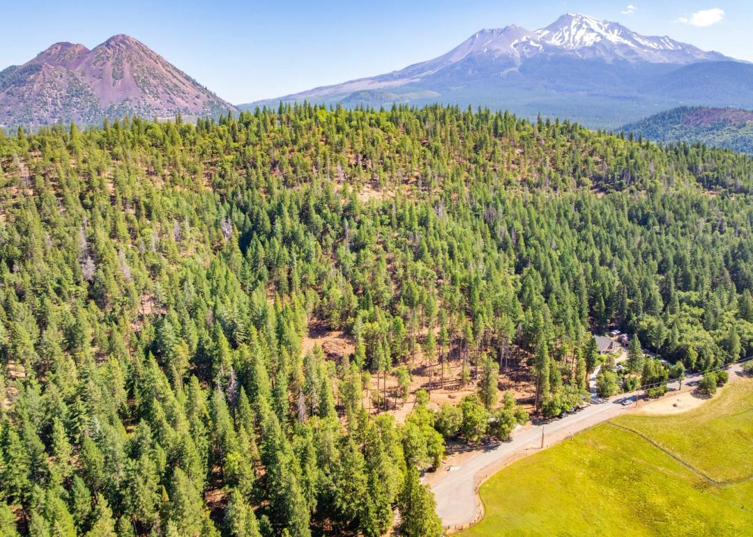Mt. Shasta Villa