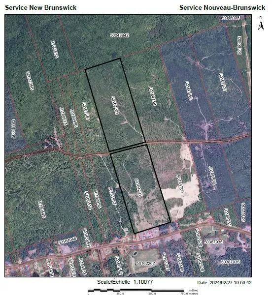 98.84 Acres for Sale - woodlot