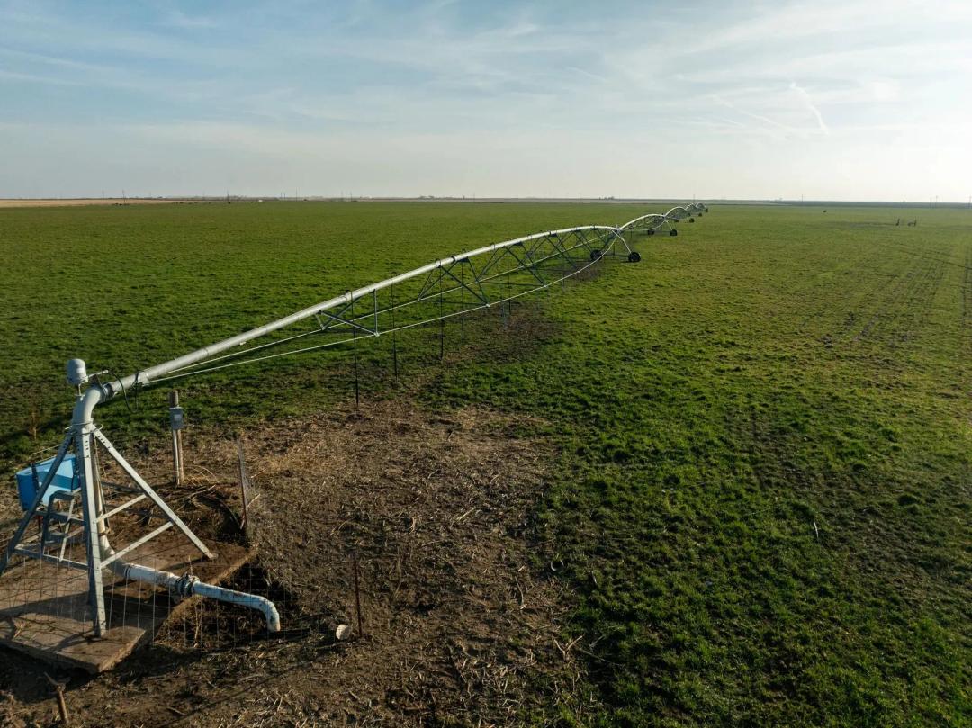 Haskell co 248