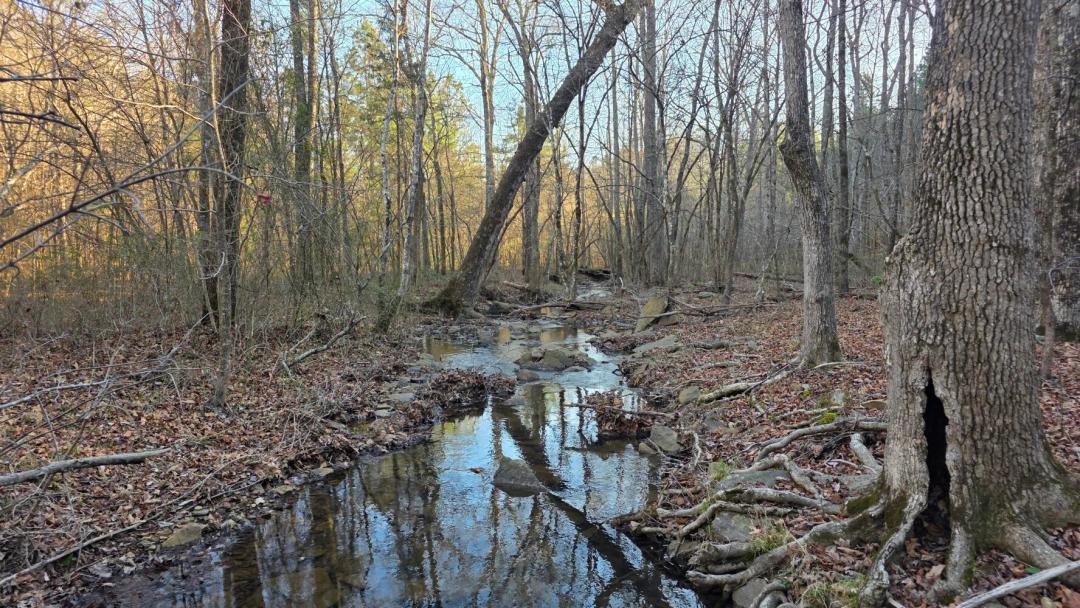 83.51 Acres at 000 Yuba Road