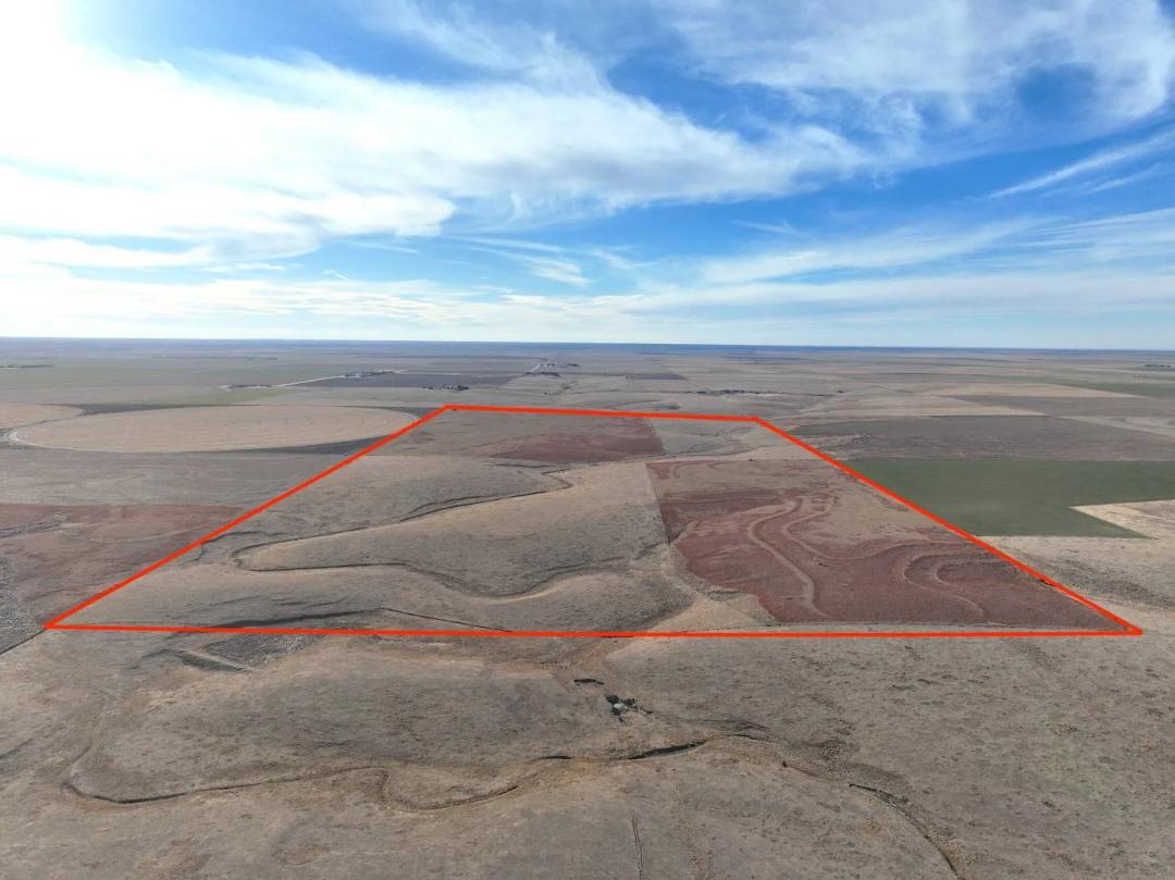 320± ACRES CRP & GRASSLAND - SHERMAN COUNTY, KS