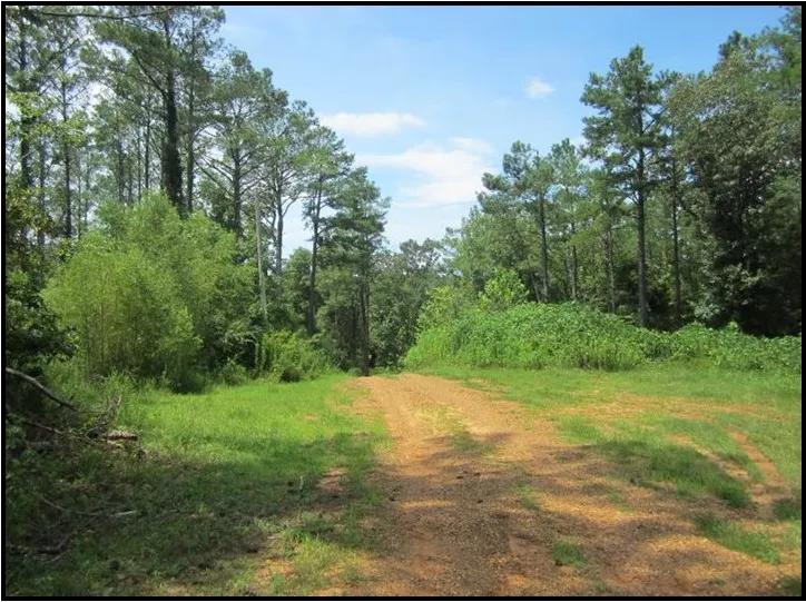 5.47 Acres in Marshall County in Holly Springs, MS 