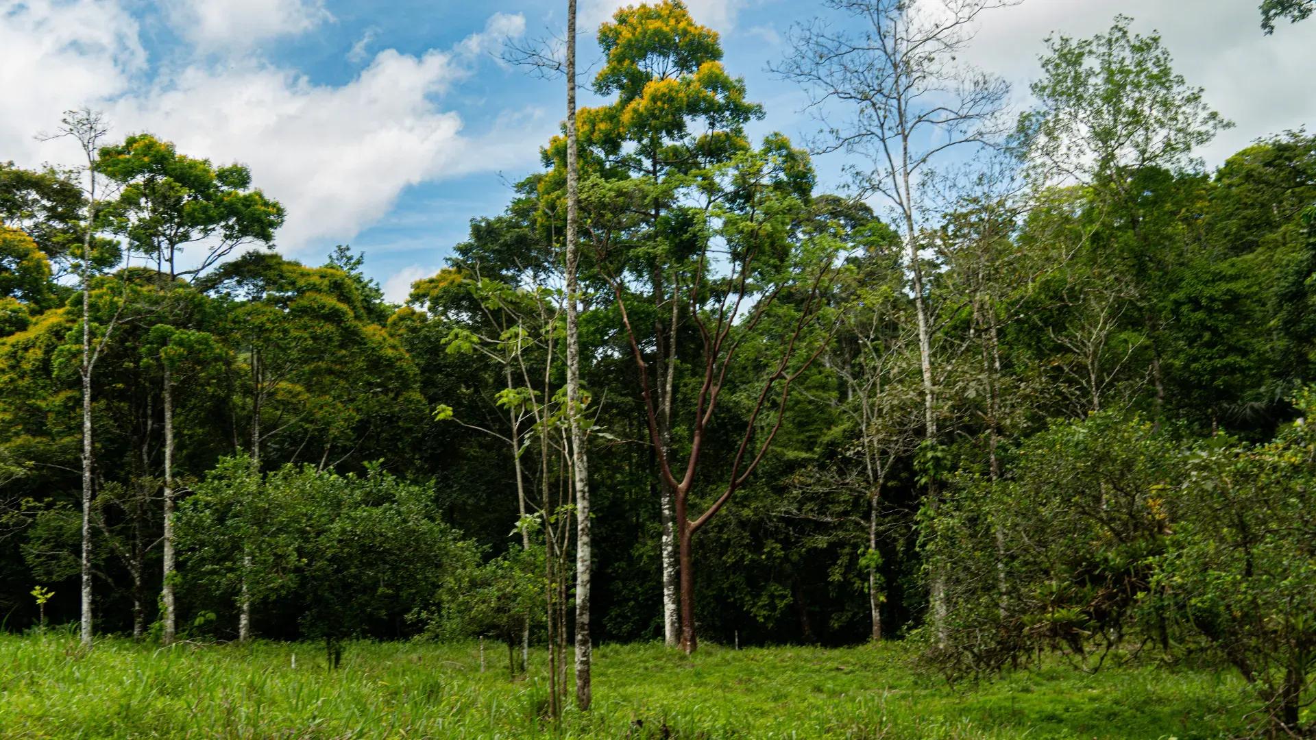Conservation Costa Rica Hacienda Los Gauchos