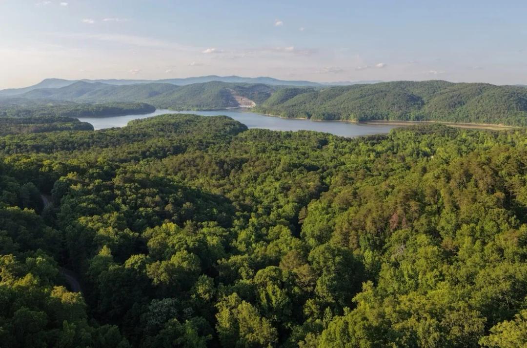 1.71 Acres at 115 Carters Overlook