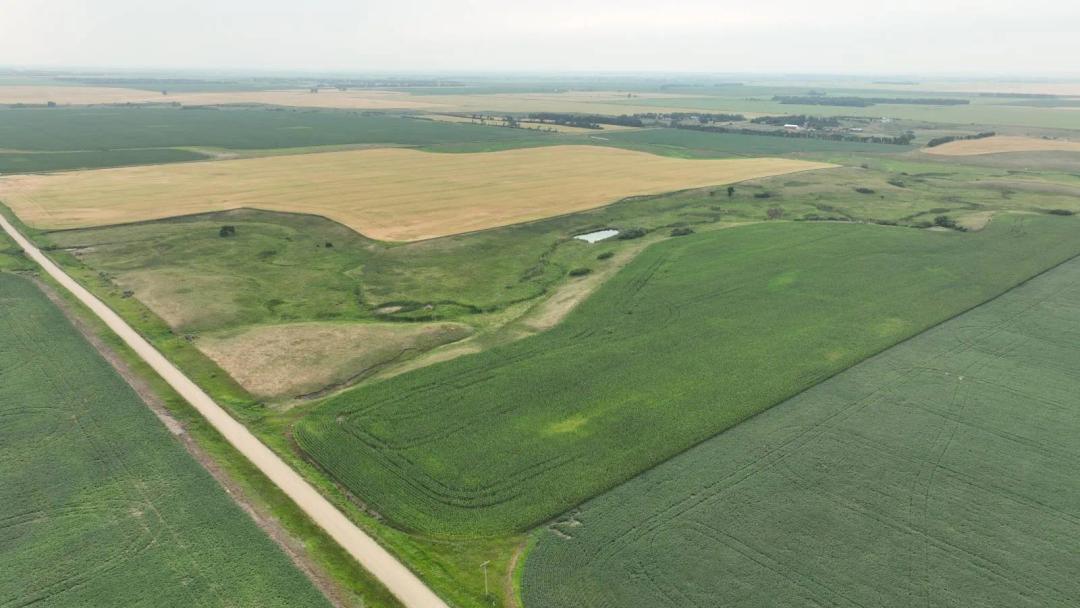 McHenry & Ward Counties, ND Land Auction - 1,241± Acres