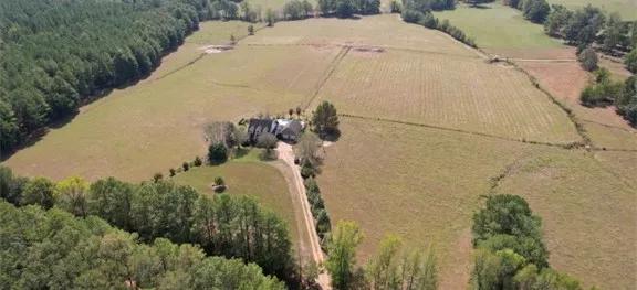 445 Acre Cattle Farm with a Home in Rankin County in Pelahatchie, MS