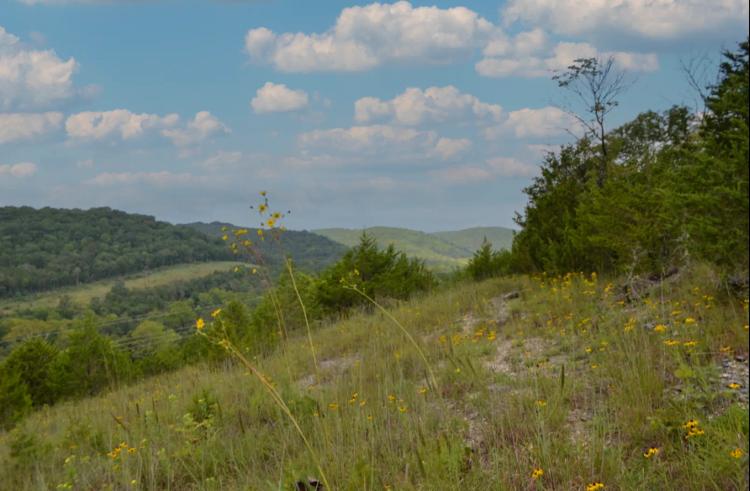 Investment Opportunity And Hunting Tract For Sale Near Branson