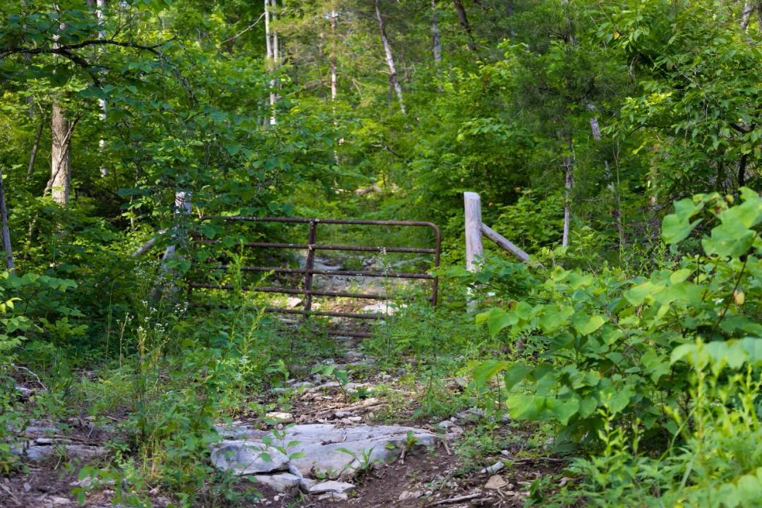 Land near River, $999 down for 6.82 acres
